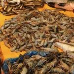 Koraput non veg ban Republic Day